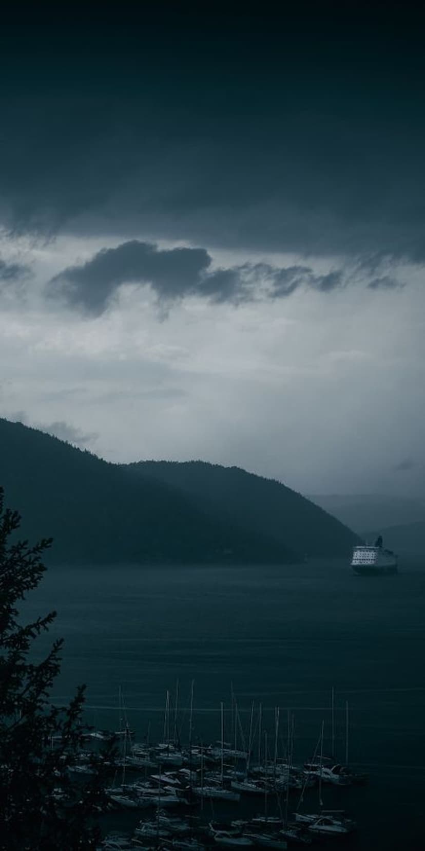 A white cruise ship sails through a foggy mountain fjord with a small boat marina in the misty foreground.