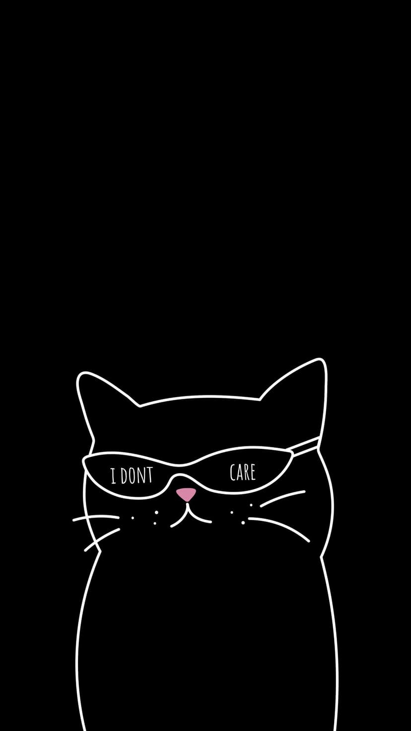 Cat wearing sunglasses with I DON'T CARE written on the lenses in a minimalist black and white line art style.