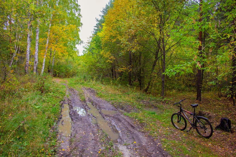 Bicycle parked beside a muddy woodland path with yellow autumn leaves and rainwater puddles under an overcast sky.