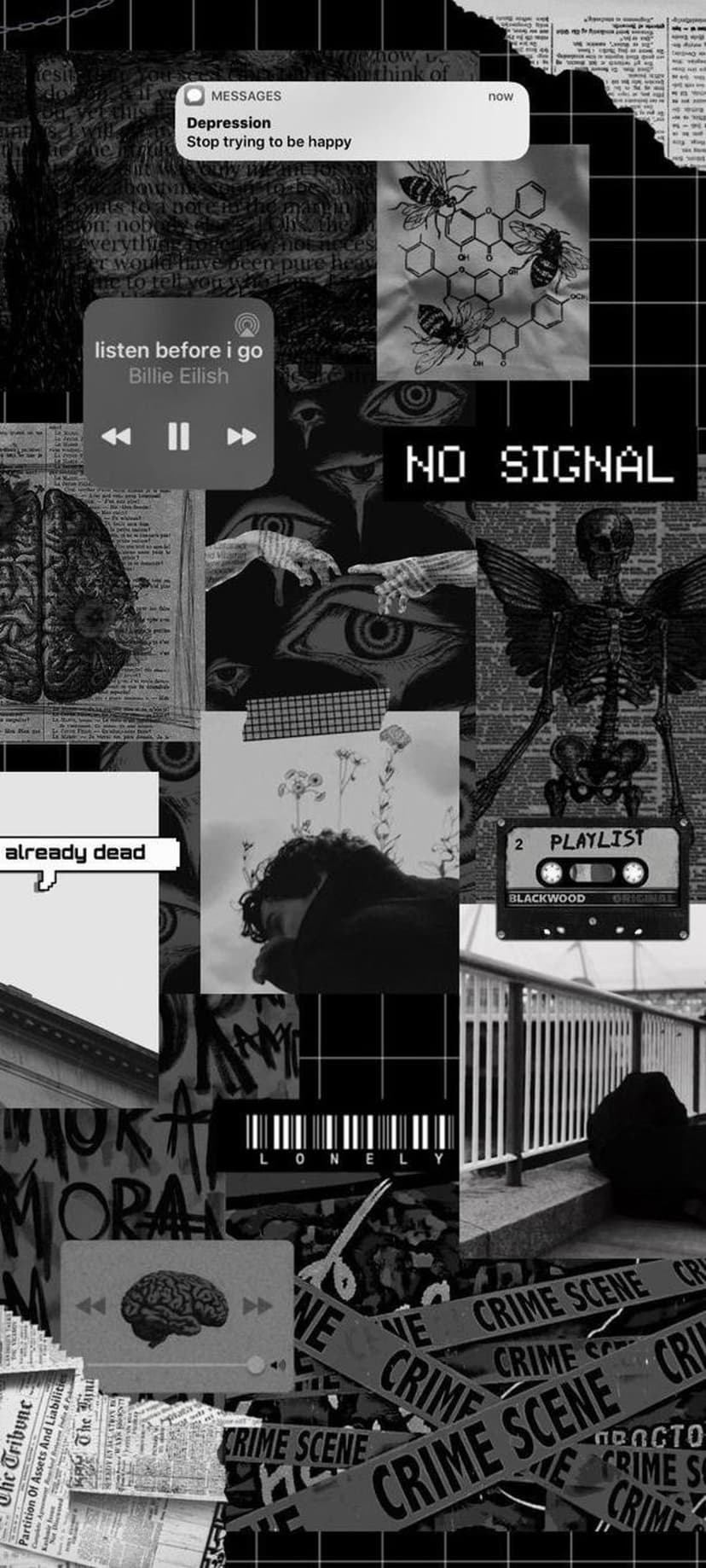 A human skull, anatomical brains, and a no signal notification appear in a distressed monochromatic collage.