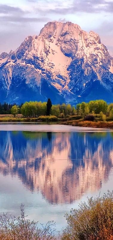 Winter Road Serenity- A Bird's-Eye View of a Snowy Forest Path