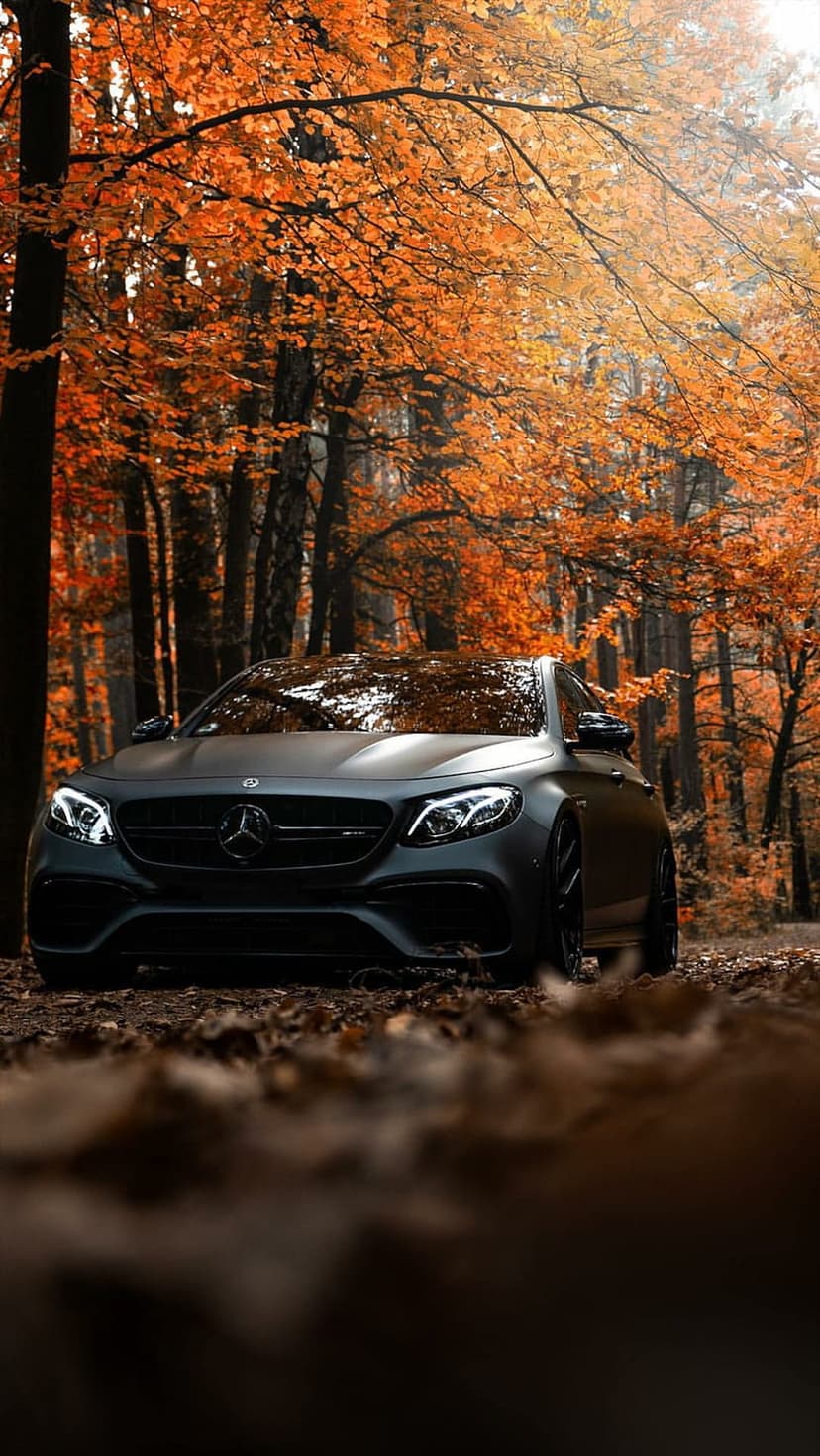 Dark Mercedes E-Class sedan parked on orange fallen leaves in a forest with red autumn foliage background.
