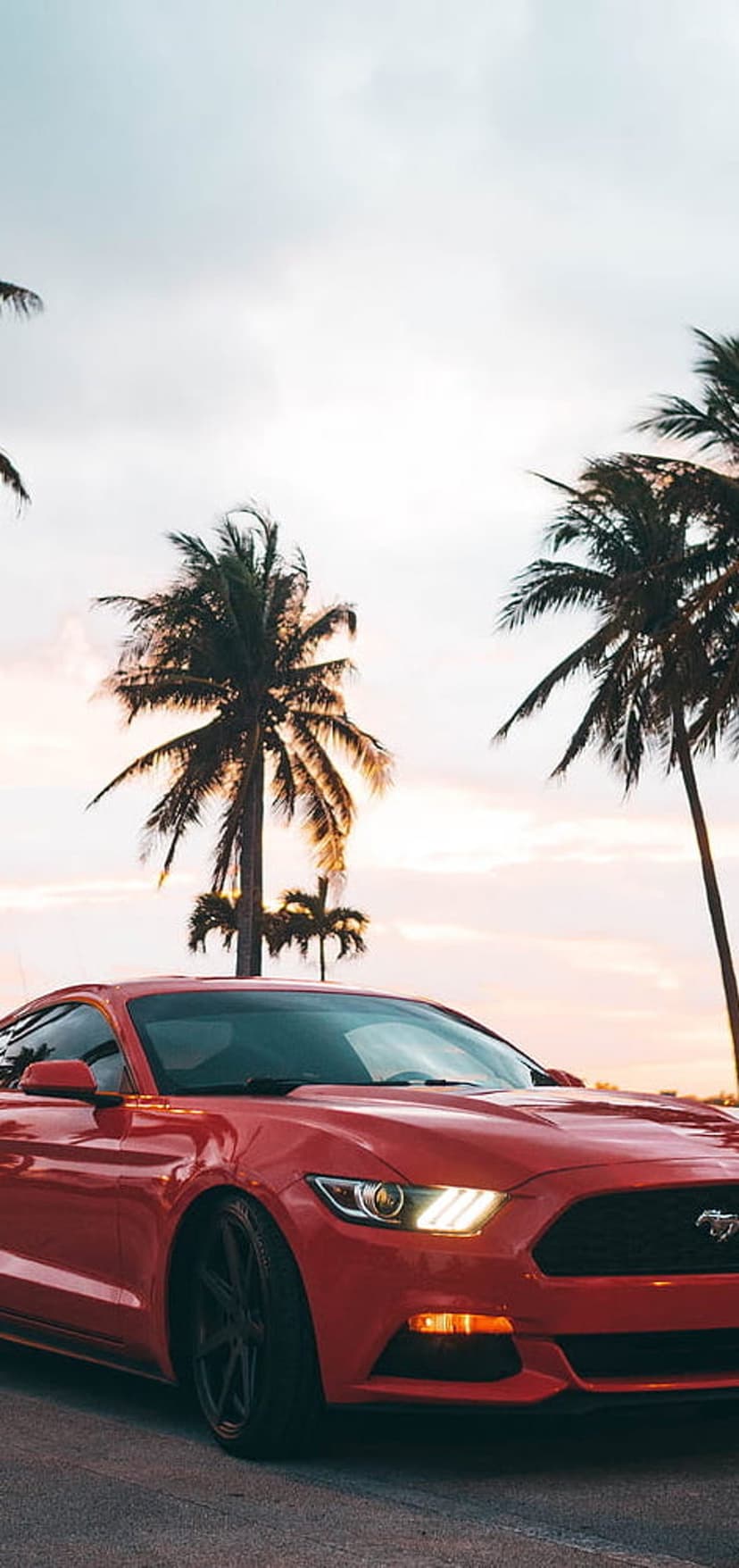 Red Ford Mustang convertible parked by palm trees during a pastel sunset with warm golden light reflections.