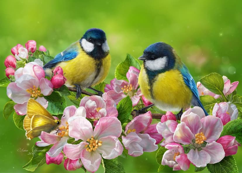 Two yellow and blue Great Tit birds on a branch with pink flowers and a butterfly against a blurred green background.