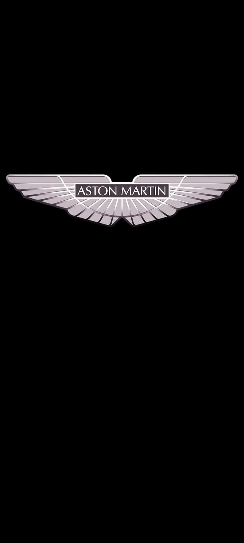Aston Martin silver wings emblem featuring centered text on a deep black background with metallic textures.