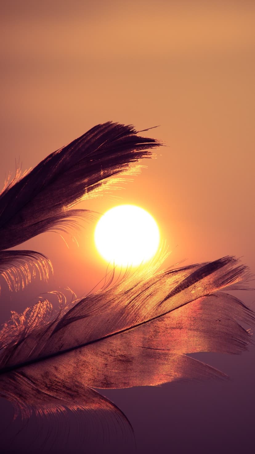 Two plumes silhouetted against a large glowing orange sun in a hazy sky during the warm golden hour of a sunset.