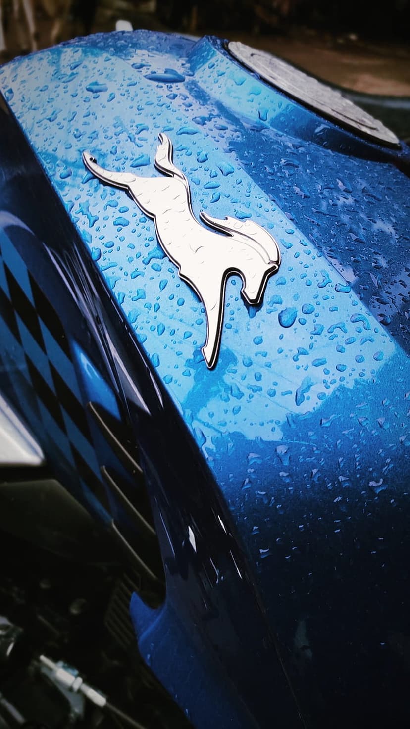 Silver horse emblem on a blue motorcycle fuel tank covered in transparent rain droplets and reflections.