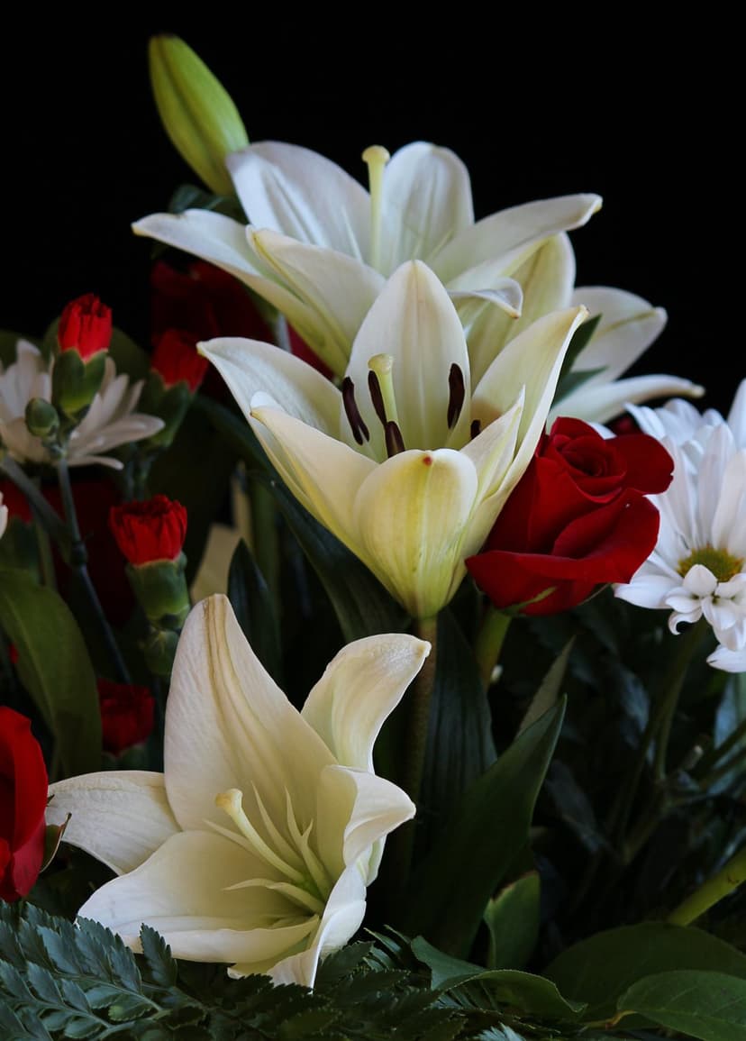 White lilies and red roses bloom in a dense bouquet against a solid black background with visible green leaves.