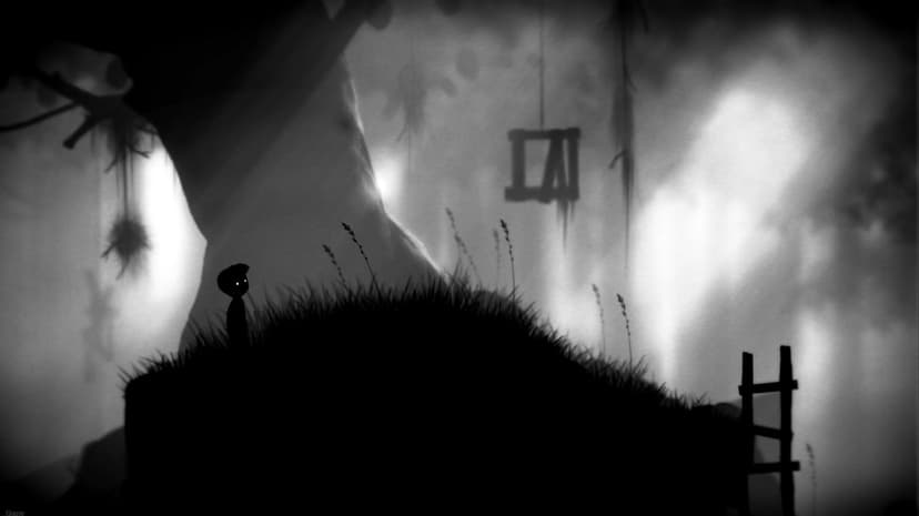 Silhouetted boy with glowing eyes on a grassy mound in a misty, monochromatic forest with hanging traps.