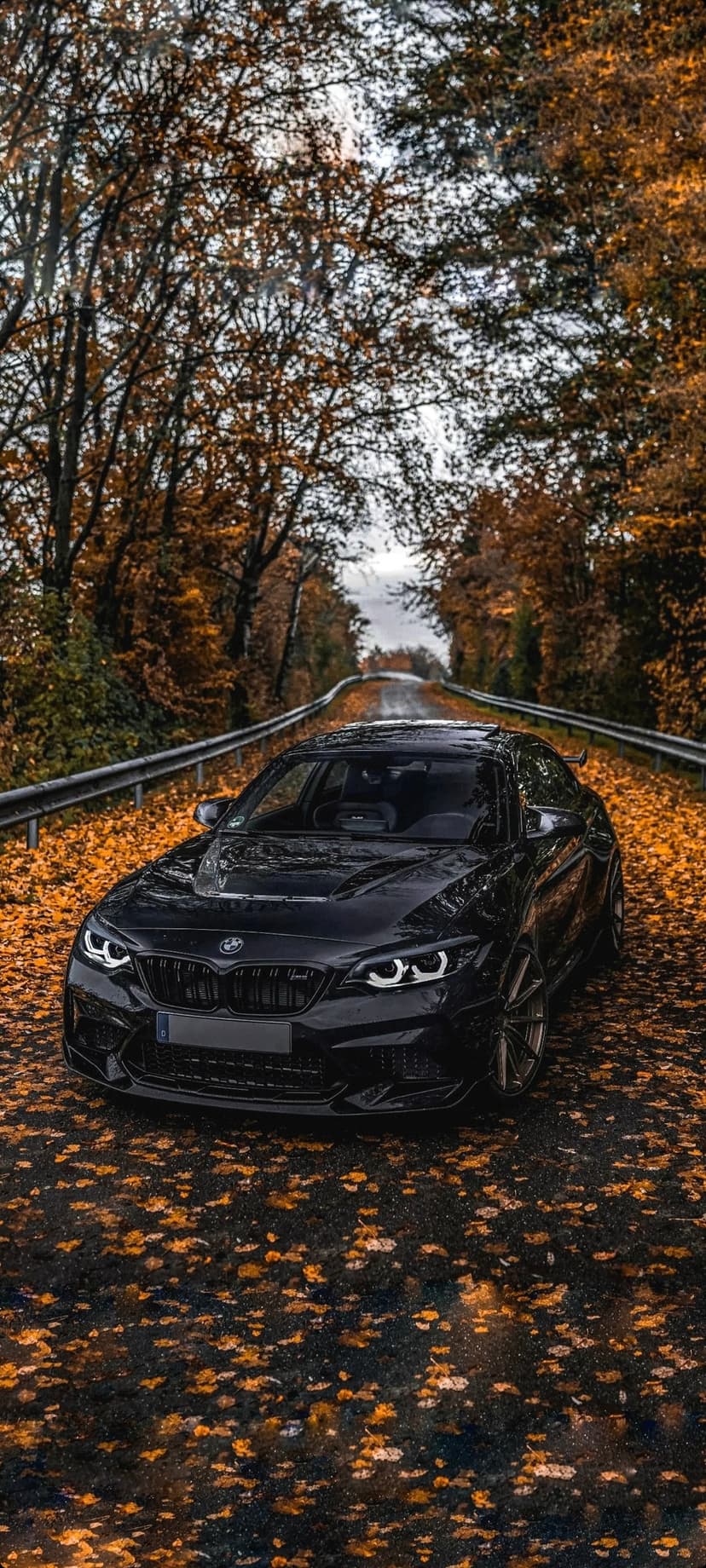 Black BMW M2 sportscar with glowing headlights on an asphalt road covered in orange and yellow autumn leaves.