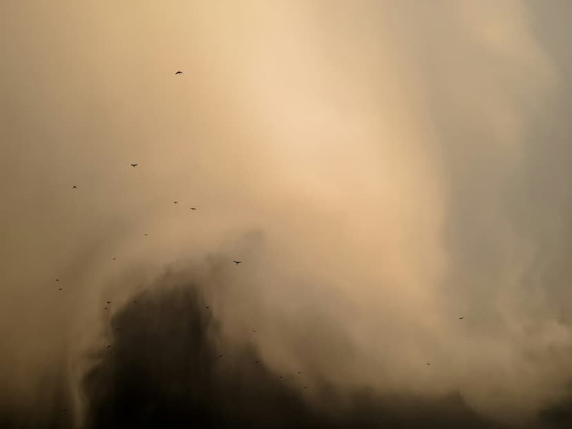 Bird silhouettes swirling through dense, dark dust storm clouds under a hazy and light-filled atmospheric sky.