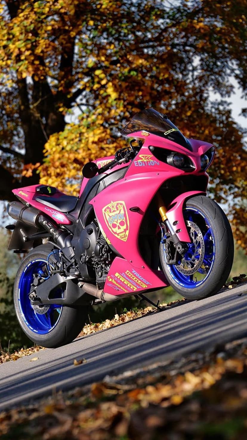 Pink sport motorcycle with a skull graphic parked on a road surrounded by yellow autumn leaves and trees.