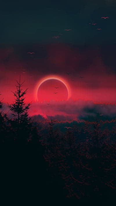 Crimson Eclipse and Dark Forest Silhouette Mobile Wallpaper