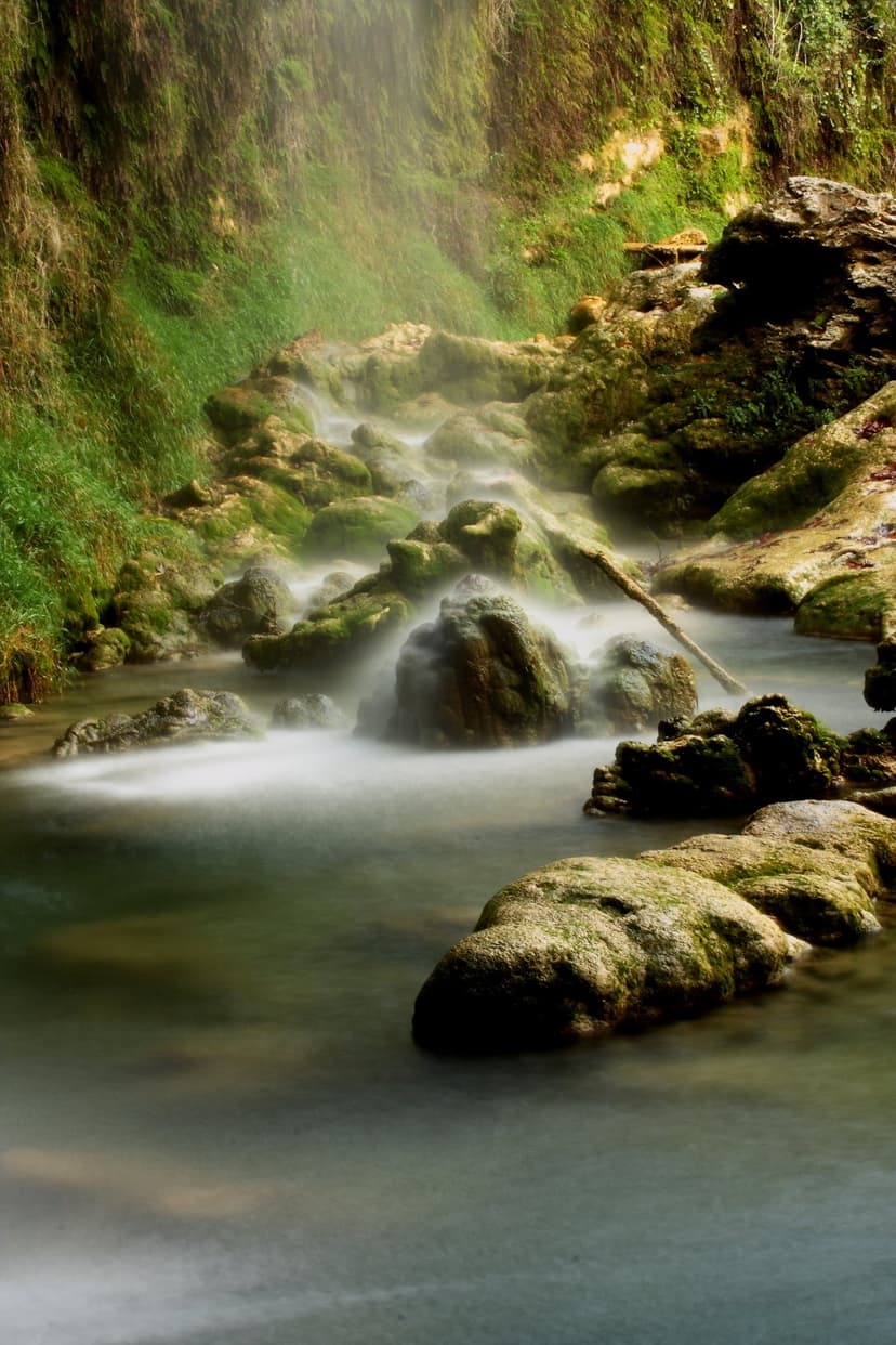 Cascading waterfall blurs over vibrant green mossy rocks within a dense, misty woodland environment.