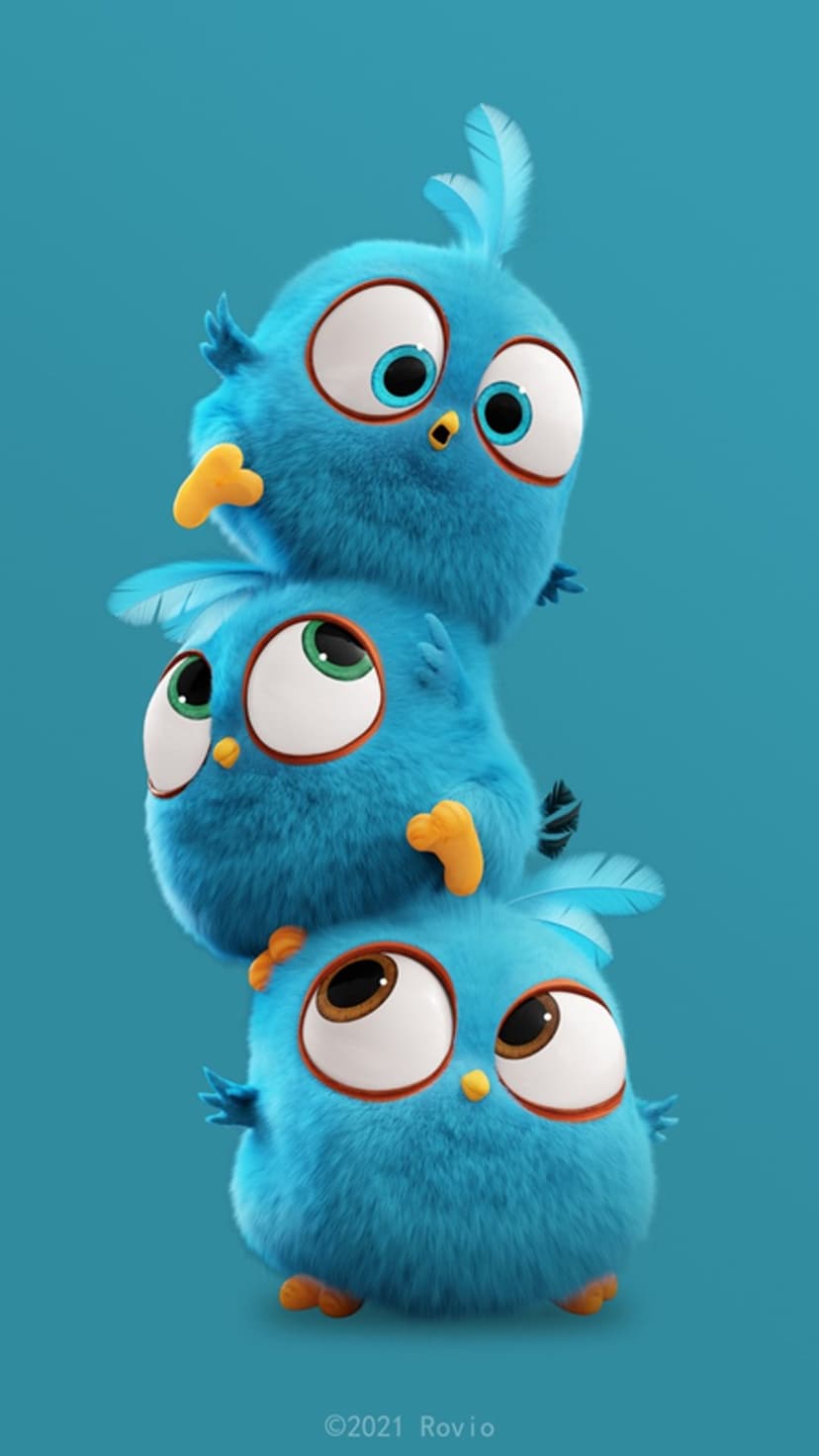 Three fluffy blue hatchling birds with large expressive eyes are stacked vertically on a solid teal background.