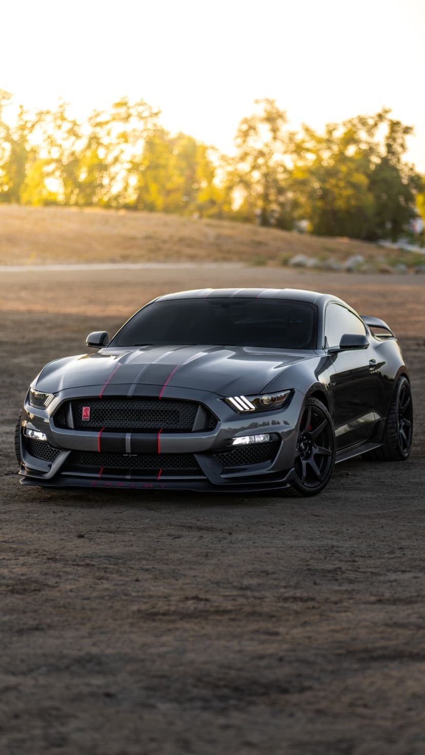 Grey Ford Mustang Shelby GT350R with red stripes parked on dirt during a golden hour sunset in portrait view.