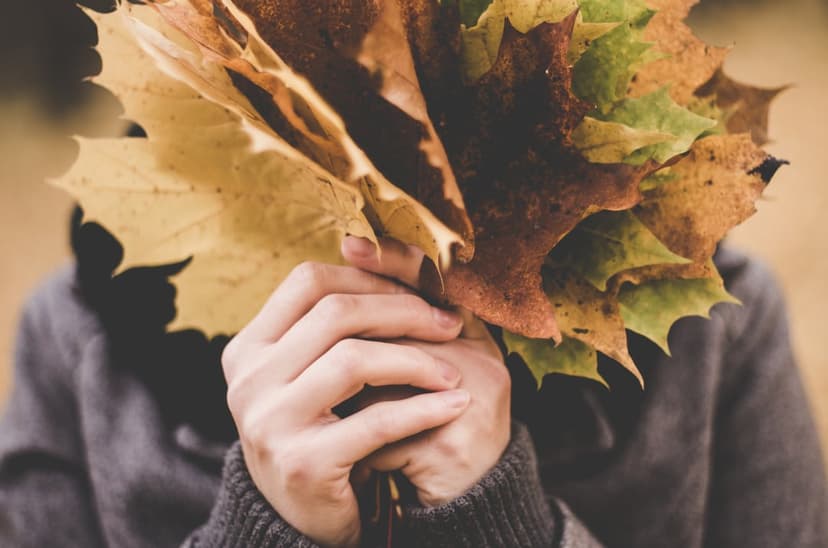 Person in a gray sweater holds a bouquet of yellow and orange maple leaves in front of their face outdoors.