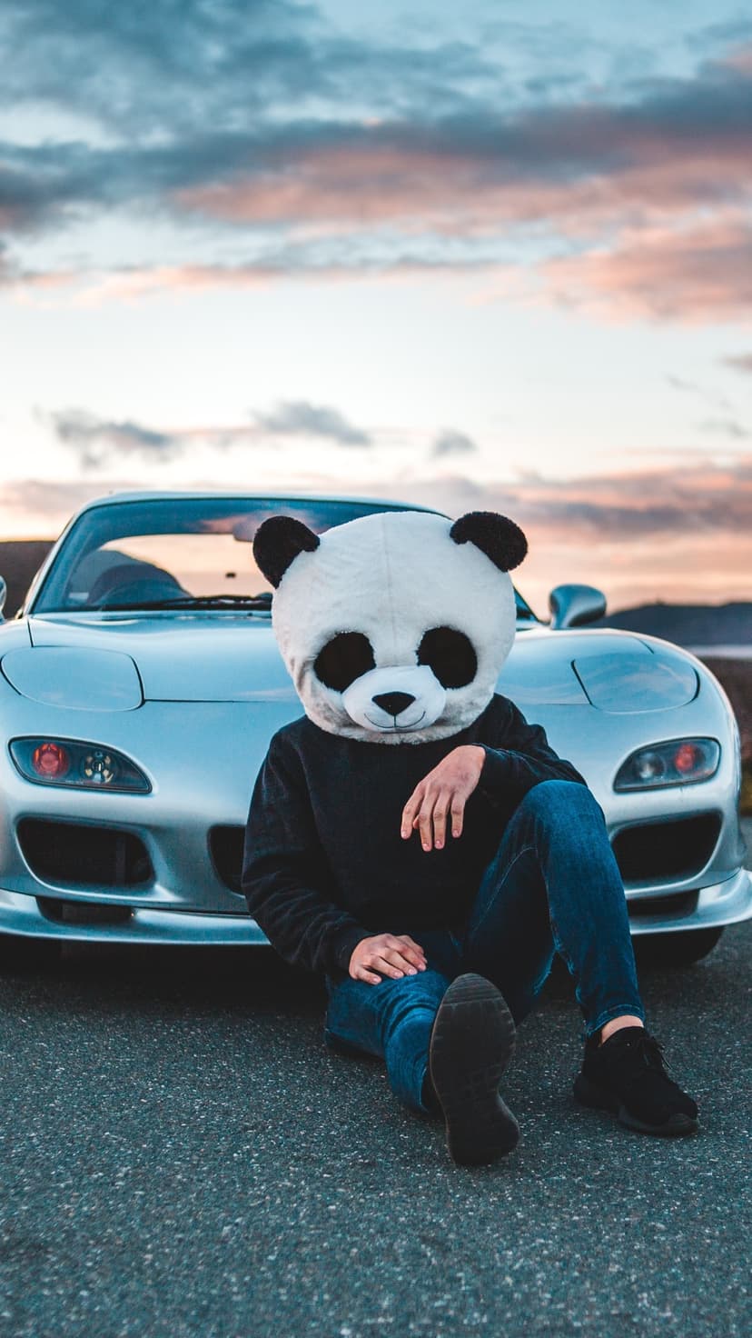 Person in a panda mascot head sits on the ground beside a silver sports car under a glowing sunset horizon.