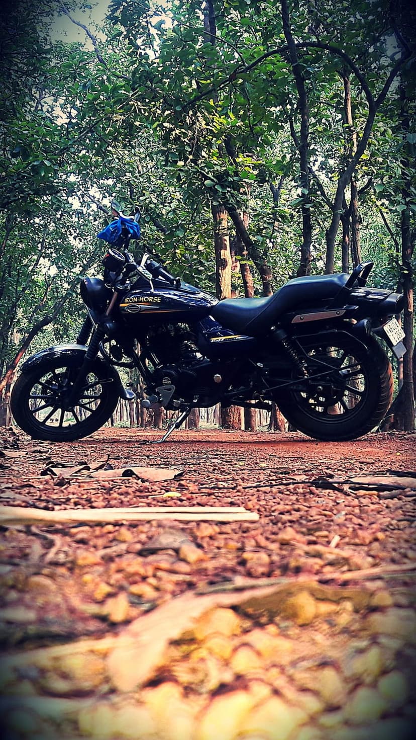 Black motorcycle parked on a dirt trail under a forest canopy with dappled sunlight hitting the ground.