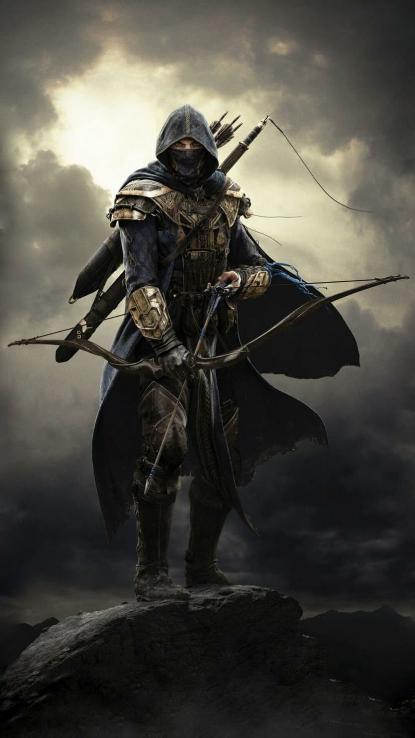 Hooded archer in blue and gold armor holding a bow on a rocky peak against a dramatic cloudy sky background.