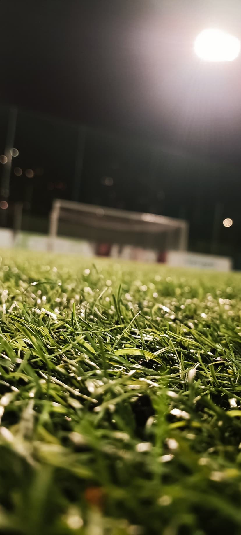 Artificial turf blades in sharp focus with a blurred soccer goal and glowing stadium floodlights at night.
