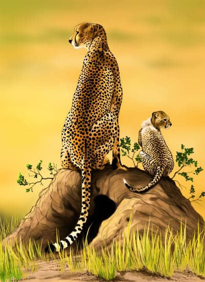 Cheetah Mother and Cub on Savanna Mound