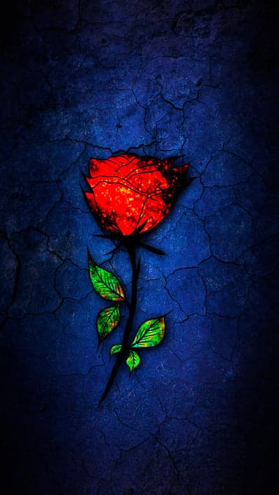 Fiery Red Rose on Cracked Dark Blue Textured Background
