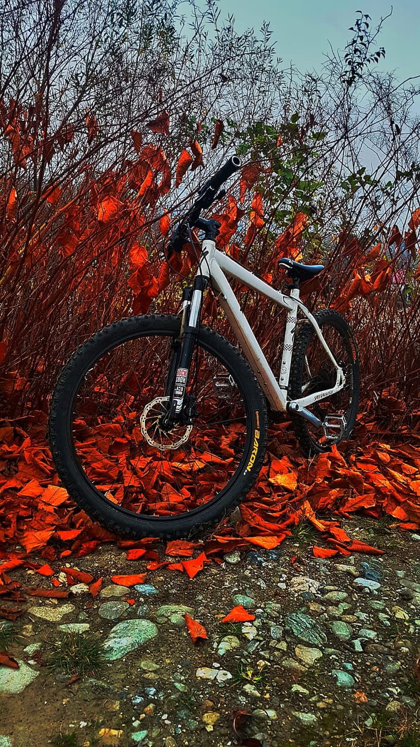 White mountain bike stands on a rocky trail covered in orange autumn leaves with dry woodland branches behind.