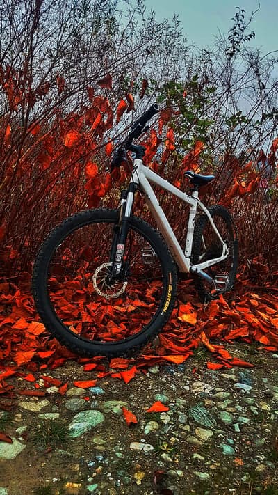 Mountain bike amidst autumn leaves and rocky ground