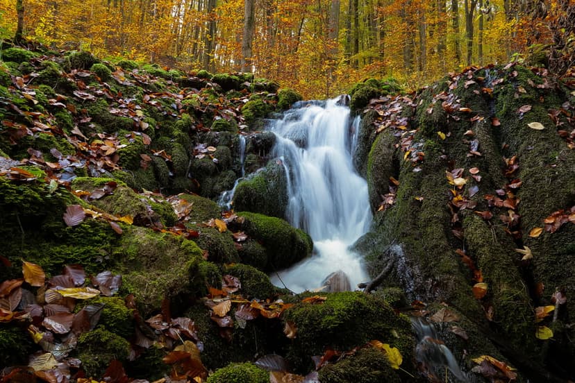 Cascading waterfall flows over moss-covered rocks surrounded by orange autumn leaves in a dense, misty woodland.