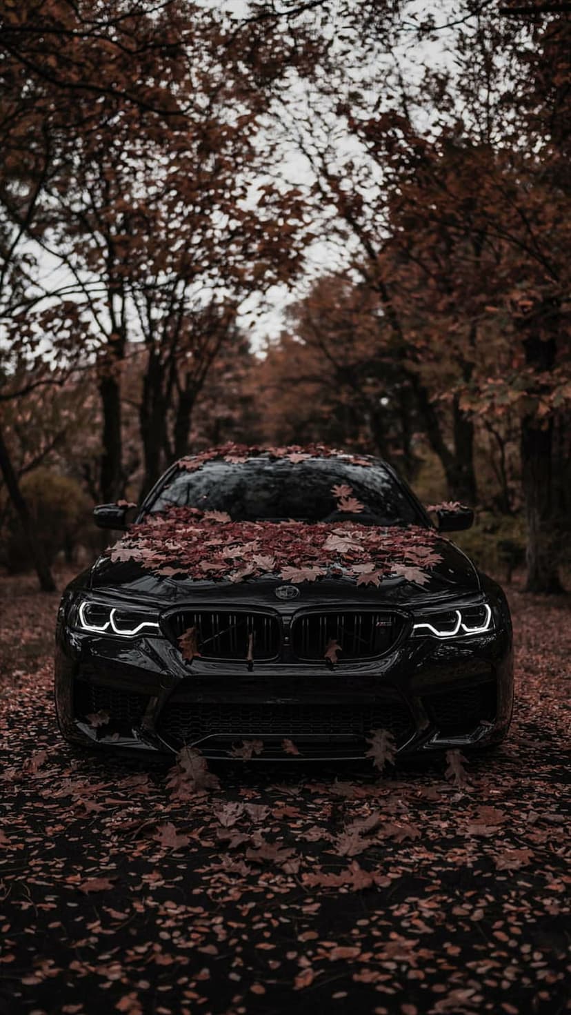 Black BMW sedan resting in a forest with red autumn leaves on its hood beneath a moody overcast woodland canopy.