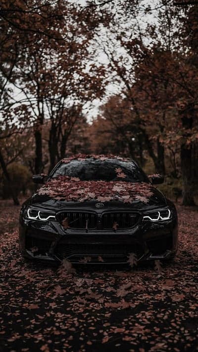 Dark BMW Sedan Covered in Autumn Leaves Phone Wallpaper