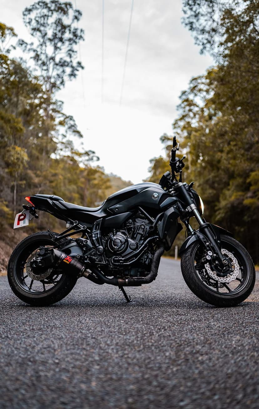Yamaha sportbike with a red-tipped exhaust parked on an asphalt road through a dense, tall pine forest.