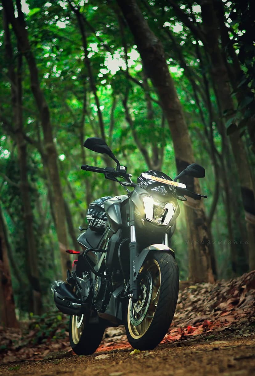 Black adventure motorcycle with glowing headlights parked on a dirt trail surrounded by dense green forest foliage.