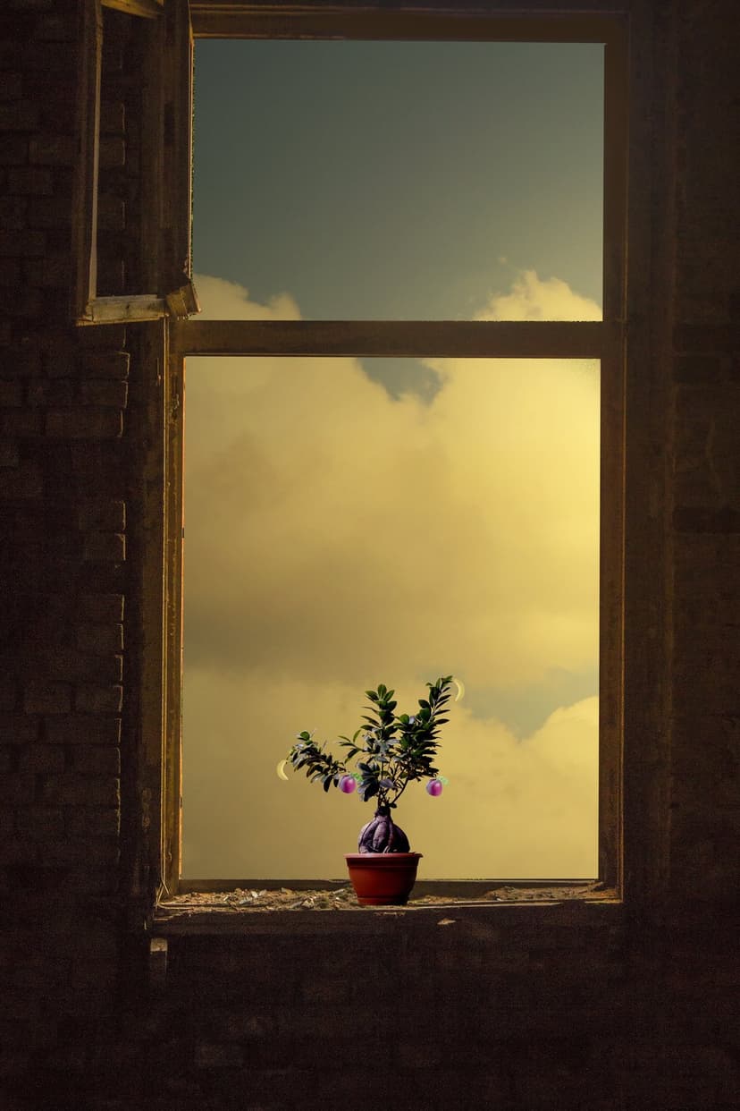 Miniature bonsai tree with purple fruit on a rustic windowsill overlooking soft yellow clouds and a blue sky.