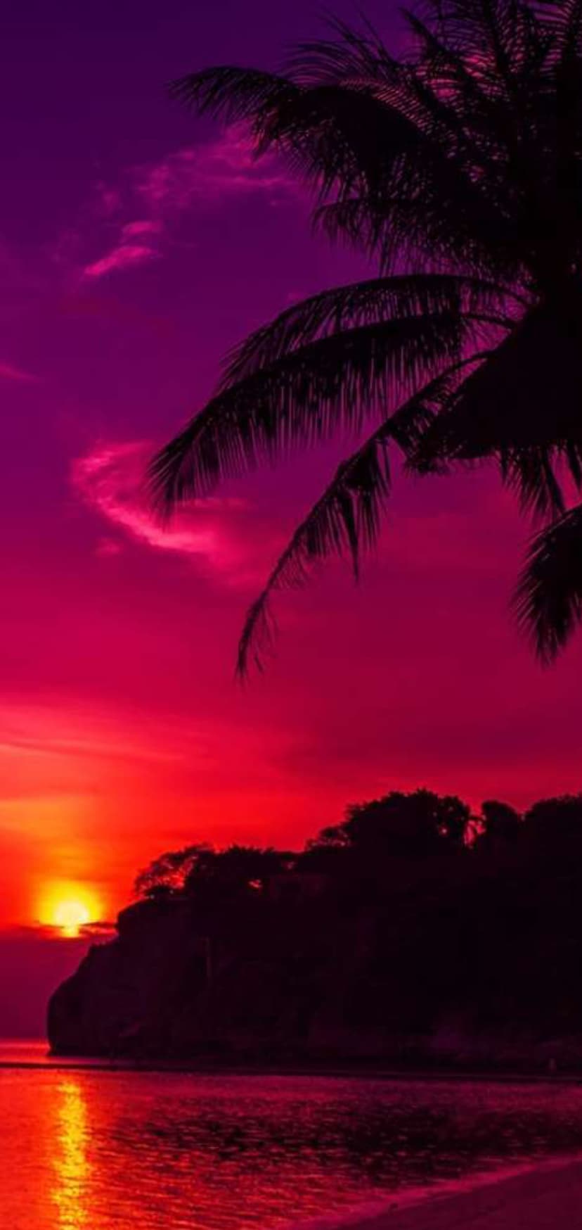 Palm tree silhouette stands before a deep crimson sunset with a glowing sun disk reflecting on the calm sea.