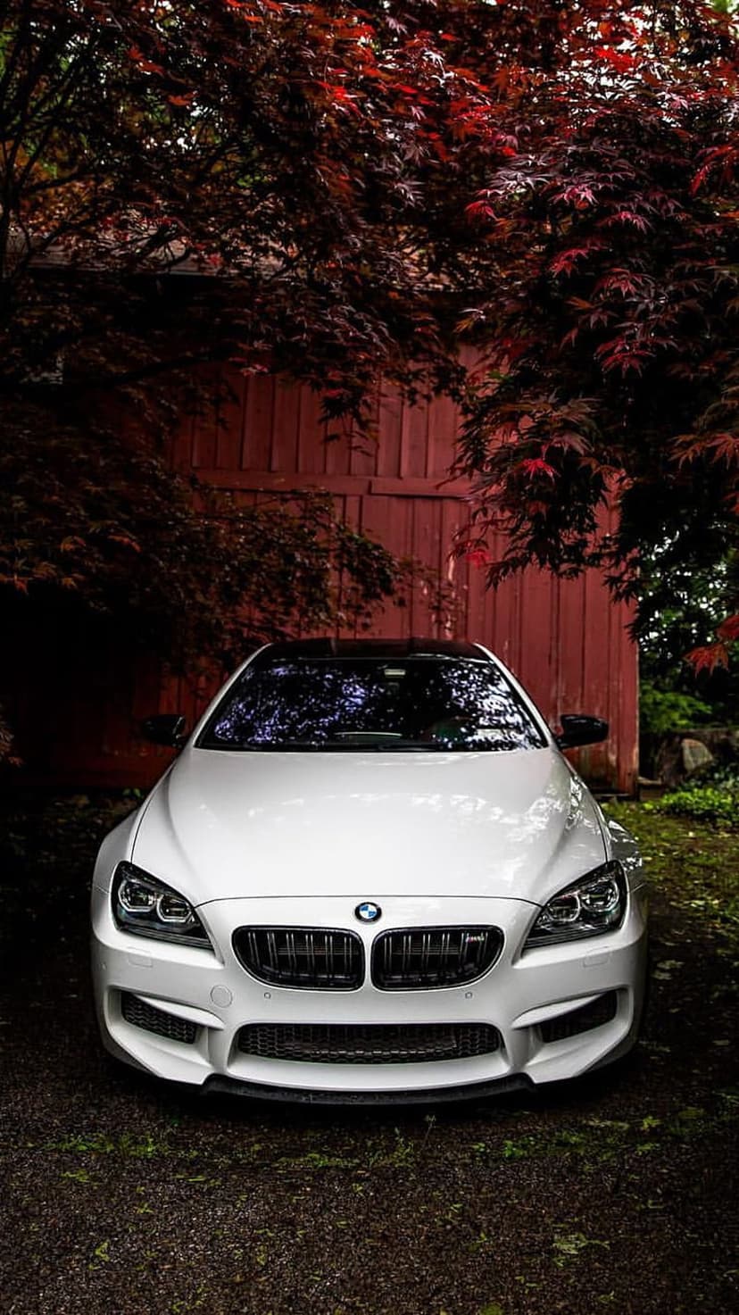 White BMW M6 coupe parked beneath red Japanese maple leaves with a rustic barn in the blurred background.