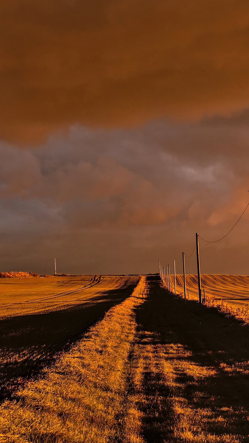 Dirt road stretching toward an orange sunset sky with dramatic clouds and silhouetted utility poles on the side.