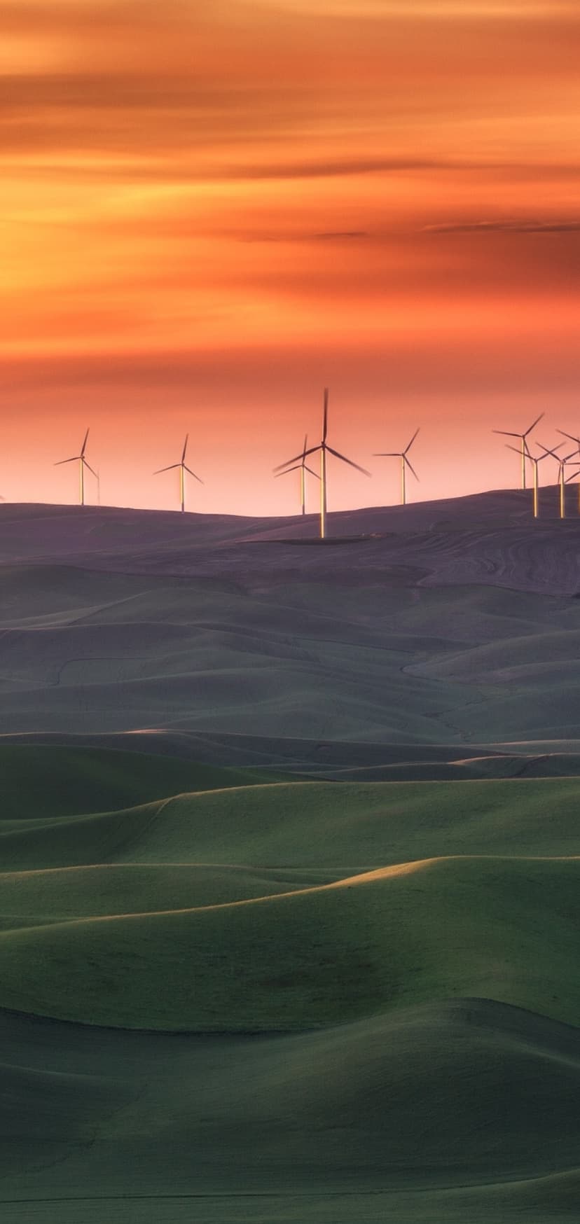 Wind turbines silhouetted against a red sky stand atop verdant rolling hills during a vibrant sunset glow.