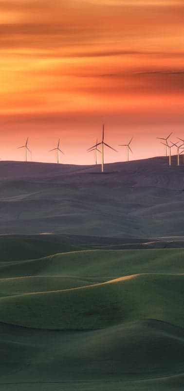 Harvest Winds at Golden Hour