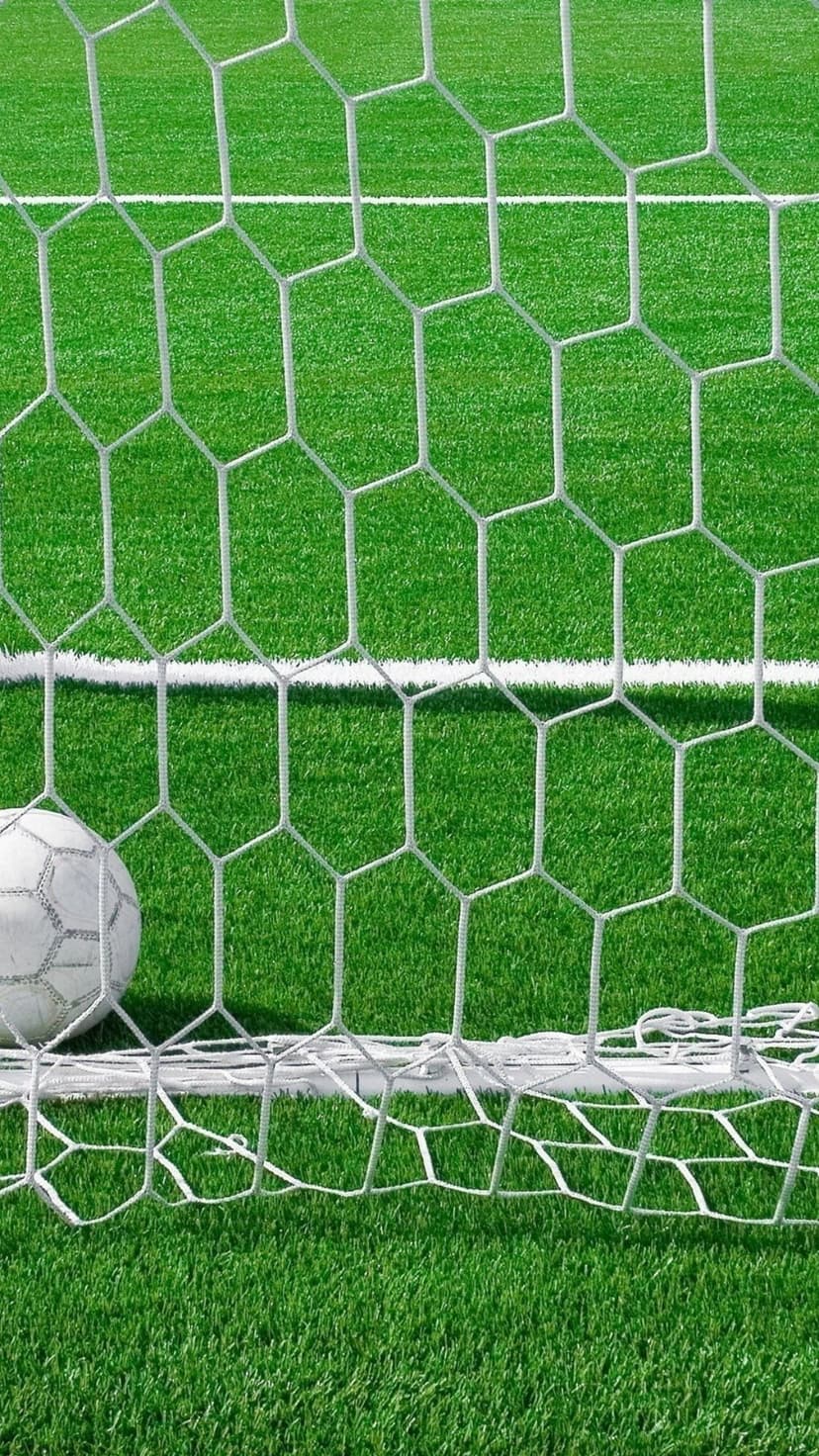 White soccer ball pressed into hexagonal netting on a vibrant green field, capturing a successful scoring moment.