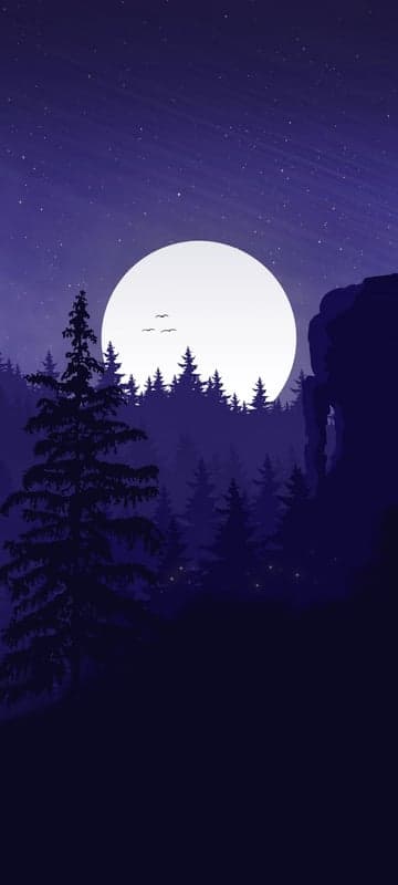 Serene Moonlit Forest Landscape with Stars