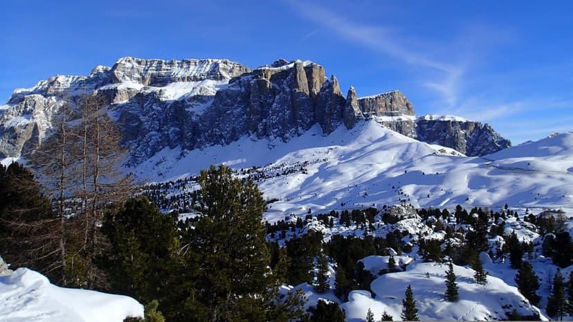 Snow-covered mountain peaks with jagged cliffs stand above a dark green pine forest under a clear blue sky.