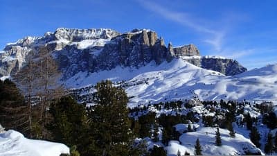Snowy Mountain Landscape with Pine Trees Under Blue Sky