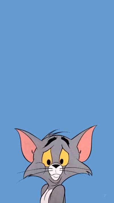 Sad Tom Cat Peeking Blue Phone Wallpaper Background