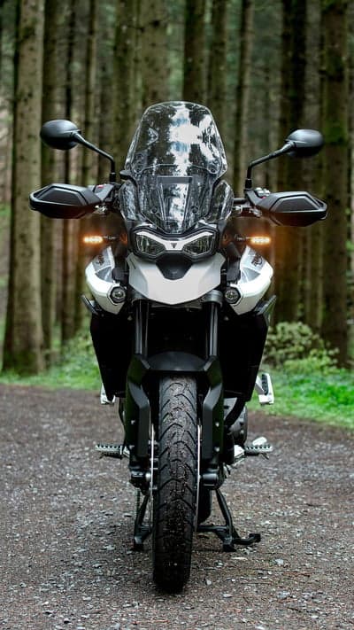 Triumph Tiger Adventure Bike Forest Phone Wallpaper