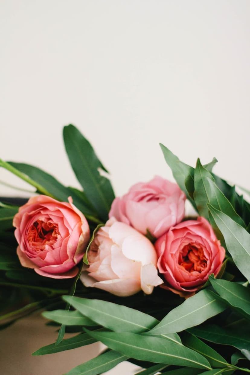 Vibrant floral arrangements featuring a blue rose with dewdrops, white tulips, and a sunflower in golden sunlight.