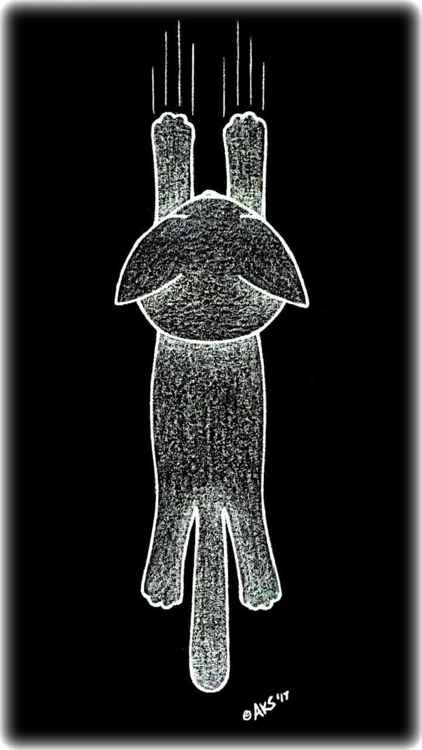 Black and white cartoon cat hanging upside down with visible scratch marks and outstretched paws on a plain surface.