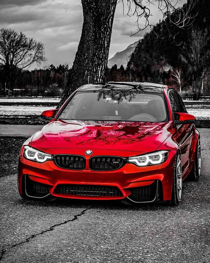 Red BMW M4 sports car parked on a mountain road beside a bare tree in a high-contrast grayscale landscape.