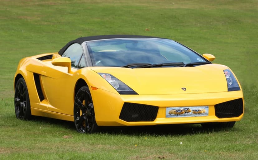 Yellow Lamborghini Gallardo Spyder with black wheels parked on a green field under soft natural daylight.